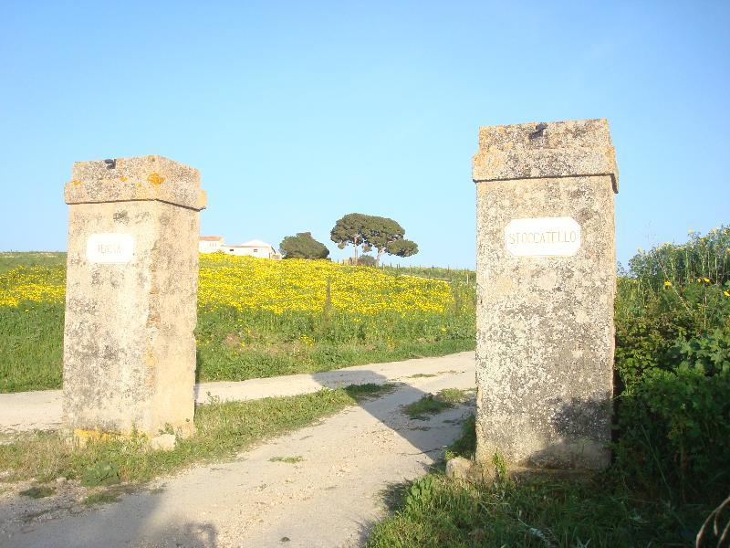 Agriturismo Tenuta Stoccatello Menfi Exterior foto